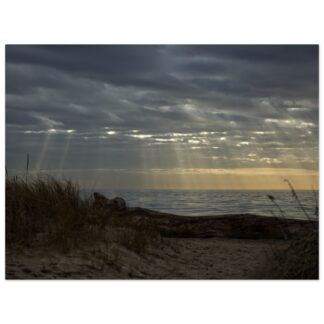 Moody beach sunset wall art with sand dunes driftwood and sun rays over ocean home decor gift