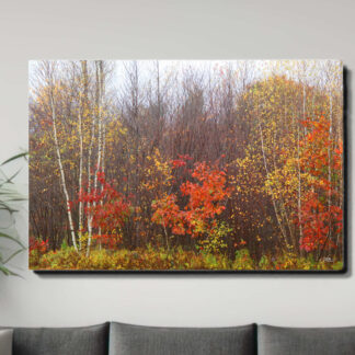 Canvas Wall Art