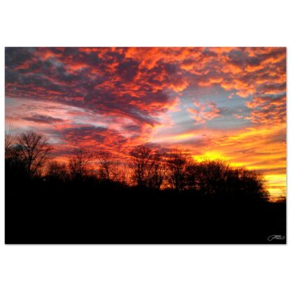 Fiery red and orange sunset sky wall art with silhouetted trees landscape home decor gift