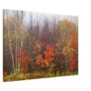 Autumn birch forest canvas wall art with red and yellow fall foliage home decor gift